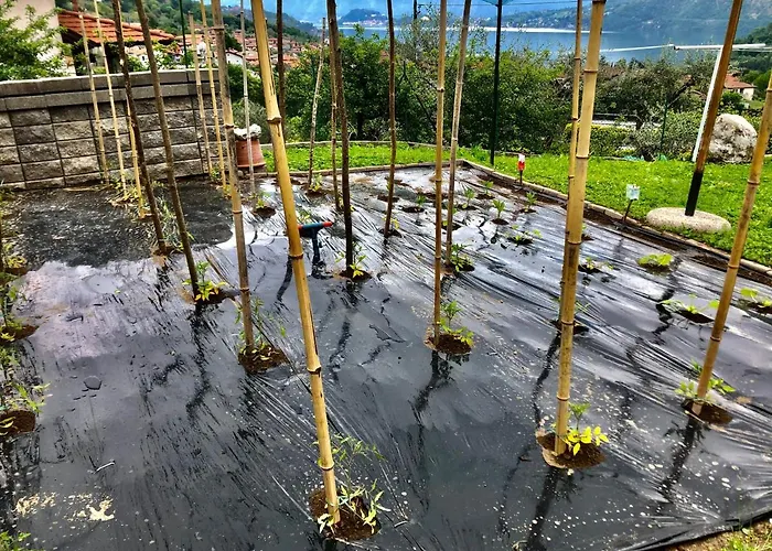 乡村民宿 加佐拉住宿加早餐旅馆 欧苏西奥