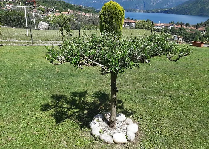 加佐拉住宿加早餐旅馆 乡村民宿 欧苏西奥
